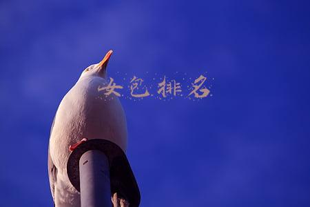 女包排名