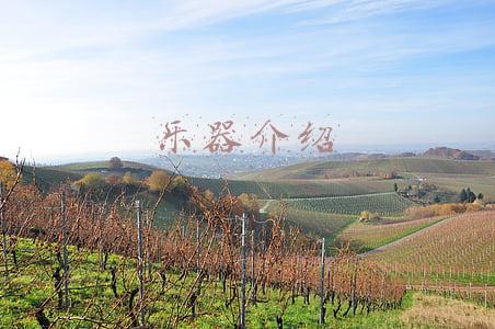 乐器介绍