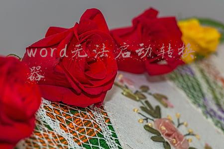 word无法启动转换器wpft532(NET 5.0正式发布，功能特性介绍(翻译))