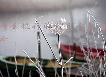 什么银行的信用卡最好办