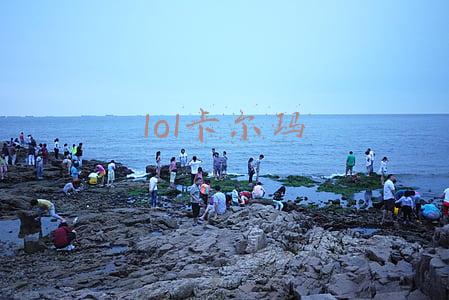 lol卡尔玛