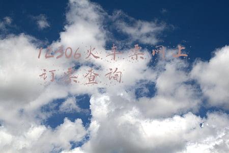 12306火车票网上订票查询