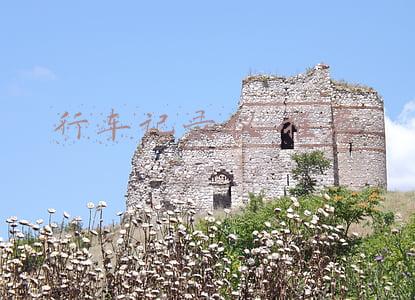 行车记录仪推荐(行车记录仪也要性价比，主流行车记录仪推荐)
