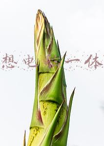 联想电脑一体机