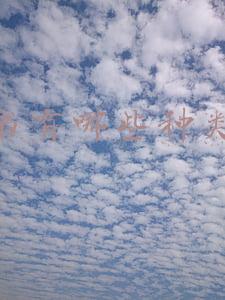 书有哪些种类