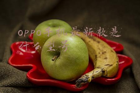 oppo手机最新款是什么型号