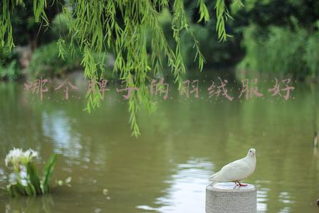 哪个牌子的羽绒服好