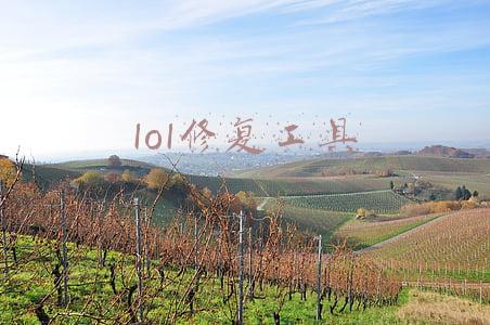 lol自带的修复工具(win10电脑，玩英雄联盟崩溃怎么办？win10系统lol崩溃解决方法)