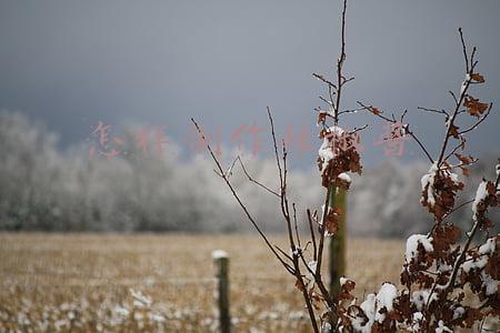 怎样制作辣椒酱