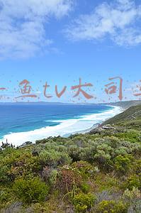 斗鱼tv大司马
