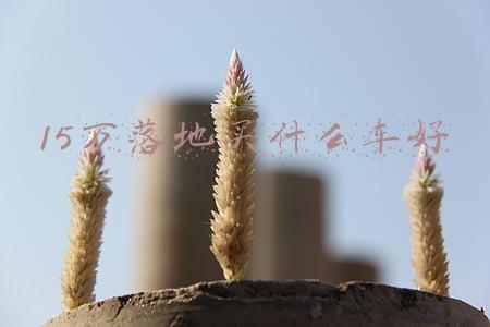 15万落地买什么车好