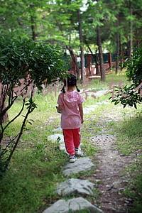 自动刷票软件