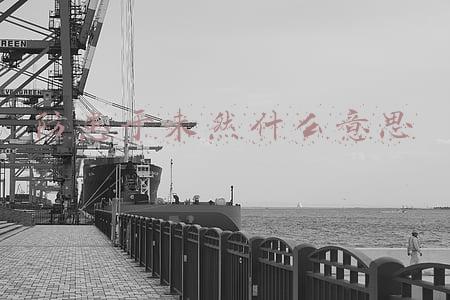 防患于未然什么意思