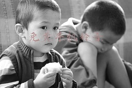 免费手机铃音二手玫瑰(一根电话线，传递温暖和关爱)