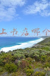 二手书网上书店哪个好(二手图书火了？转转：双11期间小说题材二手书畅销)