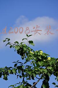 cad2014的安装步骤详细图解(Win10系统安装CAD2014软件详细教程)