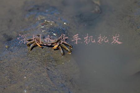 深圳水货报价单(iphone手机二手水货批发价格表 2018/6/21)