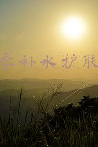 夏季补水护肤品套装哪个牌子好学生(夏季水乳自用亮肤保湿水乳合集！学生党护肤)