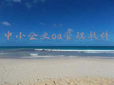 中小企业oa管理软件