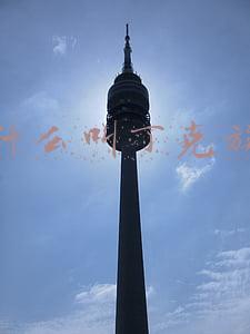 什么叫丁克族