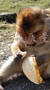 容声冰箱质量如何