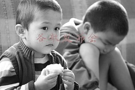 谷歌发布会