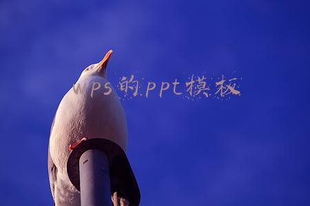 wps的ppt模板怎么全部替换(WPS如何批量替换修改批注指定内容)