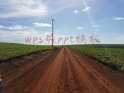 wps的ppt模板