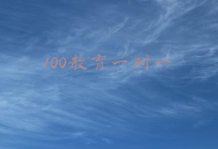 100教育一对一