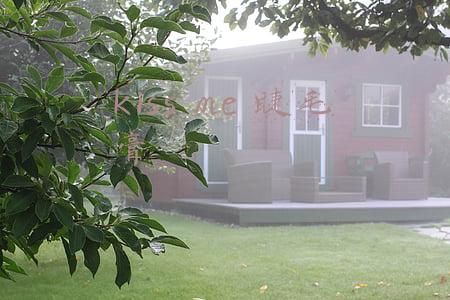 kissme睫毛膏浓密和纤长区别(万年回购睫毛膏小测评)