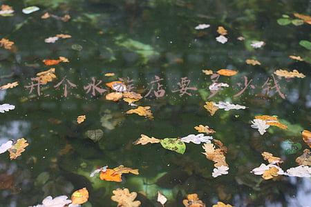 开个水族馆要多少钱《水族店开一家大概预算多少》