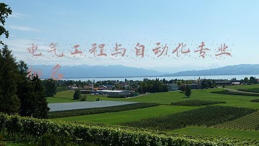 电气工程与自动化专业排名