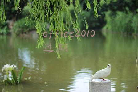 office2010过期了该怎样激活(仅需几分钟轻松学会这些办公学习软件（二）office2010安装与激活)