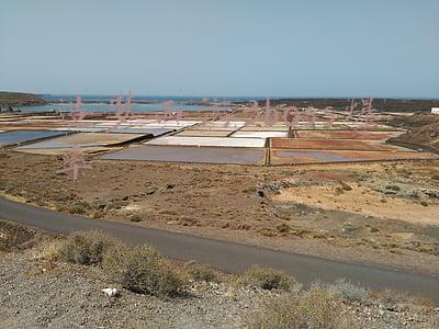 造梦西游3boss爆率