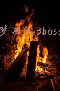 造梦西游3boss技能(《造梦西游4手机版》BOSS雪狮子技能详解)