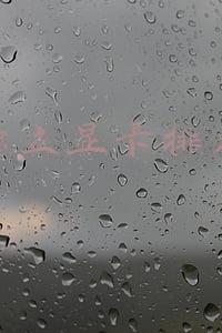 独立显卡排名表(如何迅速分析独显性能？天梯图助阵分分钟理清思路)