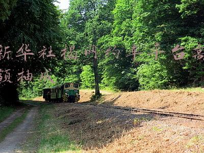 新华社揭网约车平台高额抽成