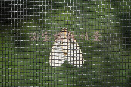 淘宝提升销量的方法有哪些(淘宝店铺刷销量怎么弄？如何增加销量？)