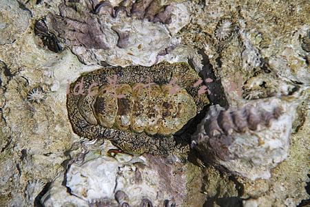 idc上市公司(奥飞数据登陆深交所创业板，传统IDC再添一家上市公司)