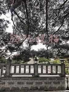 腾讯校招
