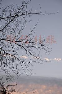 微信转账收手续费吗(微信提现转账又出收费新规！关乎你的钱！12月18日起执行)