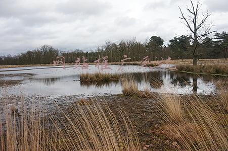 青岛网站推广系统(全程网办！青岛水路运输领域推广应用电子证照)