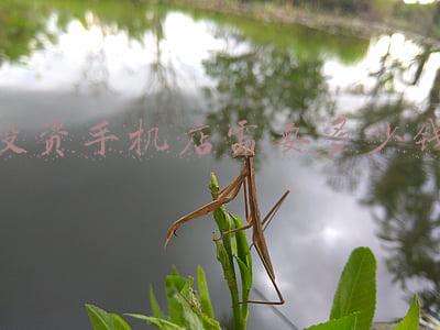 我想办个营业执照 手机专卖店 要多少钱?-开一个卖手机的店需要多少钱