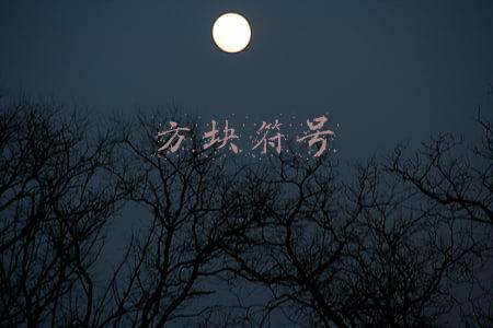 空心方块符号(Java学习，想知道百度和天猫的导航栏用的是什么网页标签吗？)