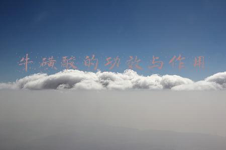 小孩吃的牛磺酸的作用与副作用(奶粉中牛磺酸对宝宝有多重要？6大益处不容忽视！智力发育助推剂)