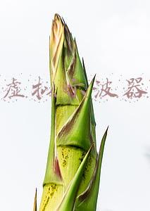 虚拟示波器