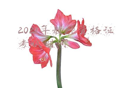 2021年教师资格证考试时间