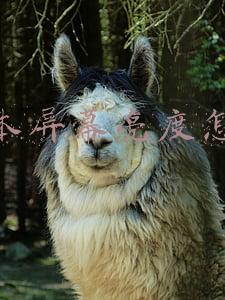 笔记本屏幕亮度怎么调
