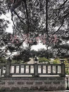 决策树法适用于什么决策(高效备考一级造价工程师（八）决策树)