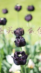 香港买什么便宜